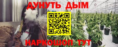 гидра Вязники