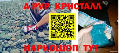 СК Вышний Волочёк