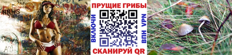 цена наркотик  Маркс  Галлюциногенные грибы Psilocybine cubensis 